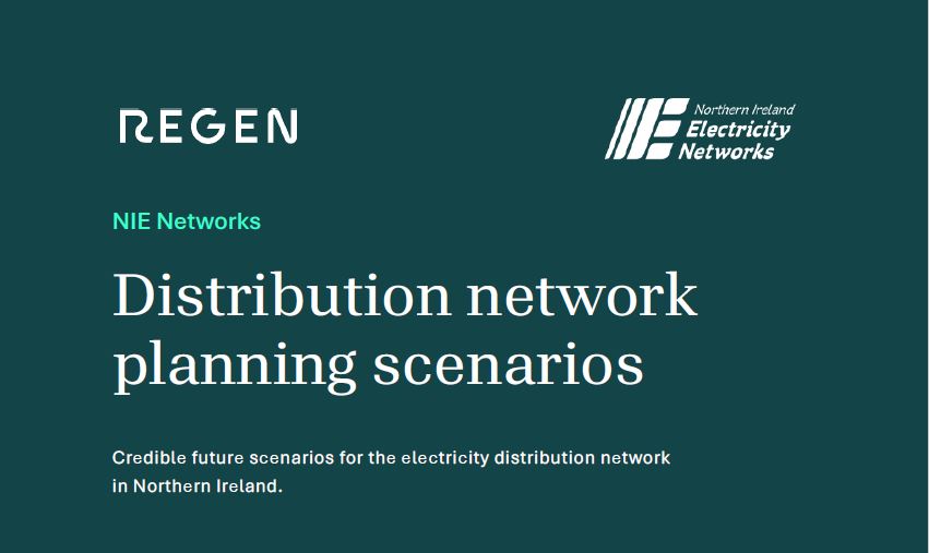 Distribution Network Planning Scenarios