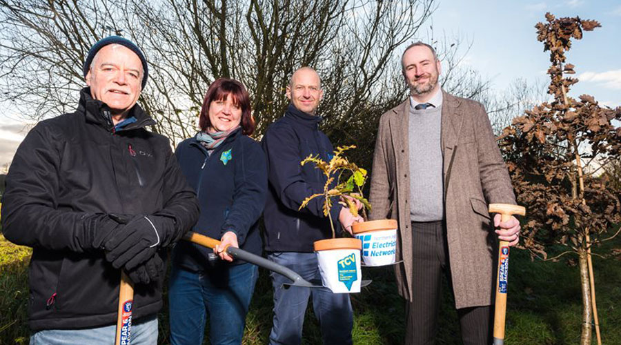 NIE Networks Is Putting Down Roots With Community Tree Planting