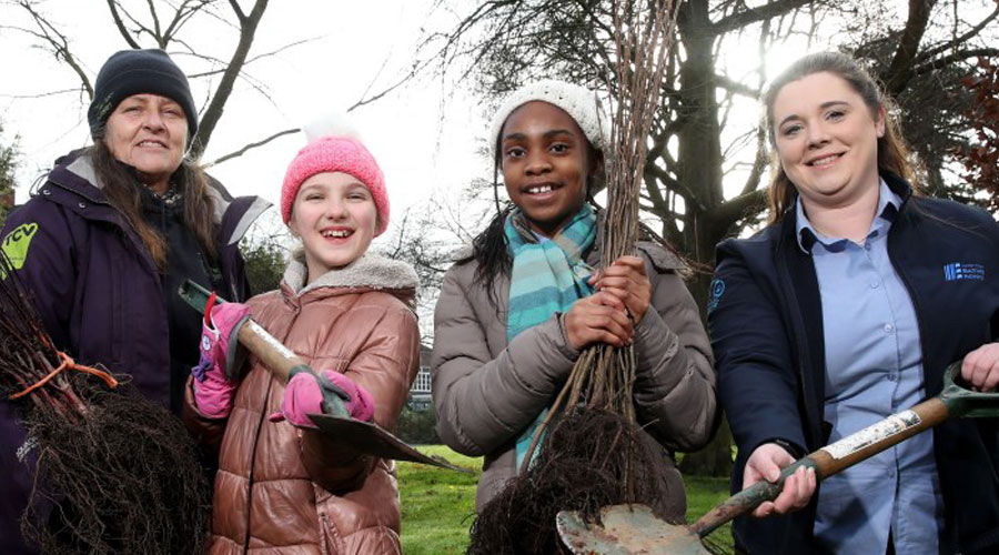 NIE Networks roots itself in the community through tree planting partnership